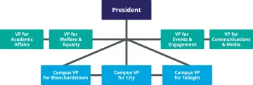 Executive Officer Structure