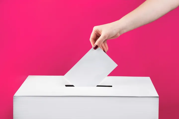 Person Voting